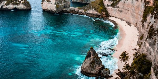 Bali Retreat — Early Bird Offer