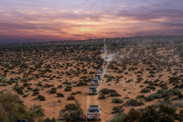 Desert Safari Adventure